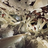 クリスタルに閉じ込められた推定５万歳の生命体を発見　蘇生させて研究する方針