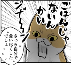 【猫マンガ】真っ先に確認するのは隣のごはん