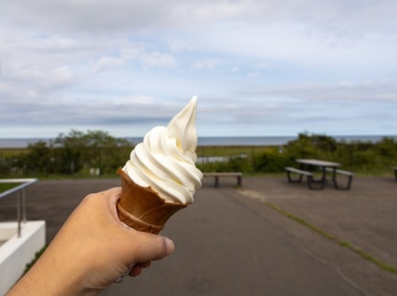 【謎】道の駅・サービスエリアでソフトクリーム食べるおじさん勢力