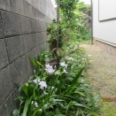 徒然なるままに…捨てられないもの