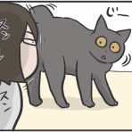 おそらくその平凡こそ幸せ　猫と私と家族の日常