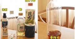 簡単で効果抜群！手作り「コバエほいほい」の作り方｜家にある材料でできる生活の知恵♬