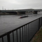 成城大学漕艇部