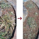 暑いくらいの陽気にびっくり