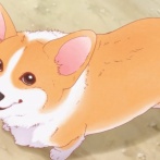 「飼い犬、獣医に老衰で余命があと数日って余命宣告されたから最期にマックのポット食わせるわ」 → 凄いことになるｗｗｗｗｗｗ