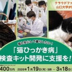 令和のニュース･話題など