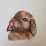 シスレーだもの♪