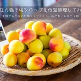 電気圧力鍋で梅シロップを低温調理してみた。