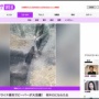 ウクライナ「ビーバー駆除、戦争のせいで去年からできなくなったわ」 ビーバー「ダム作り放題だぜ！」 → 結果的にロシア軍による再侵攻が困難になるｗｗｗｗｗ