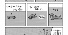 暑い日の過ごし方