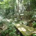 船山