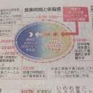 朝のタンパク質で幸せホルモン