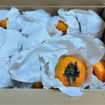 猫とふたり暮らし～evaとaiaiの日常～