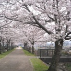 うおぱん　あそびごころ