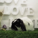 3月14日のグルーミングフォト