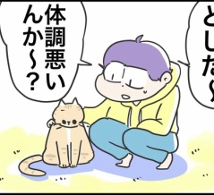 ねこすに疑惑