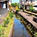 今回は、5/17(日)に「第59回〝福山ばら祭2026〟」行きのGONsanでした(^.-)☆(02)