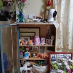 ころんのかほり。