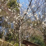 Ｍｏｏｎ　月に想いを・・