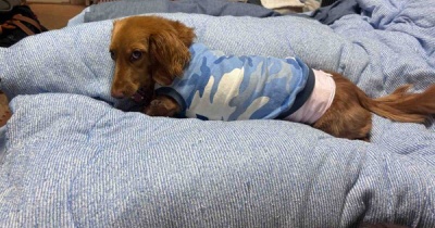なんだか…