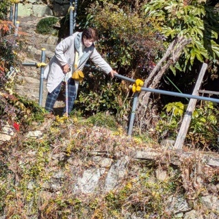 スケサのエッサッサ議会と活動報告