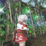 『【FF14】無人島の畑でアイルラナービーンズを収穫してラナービーンズの国によって違う茹で方に思いを馳せましたヾ(〃^∇^)ﾉ』の画像