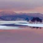 ���ߤ��ؤ�إ��ԥ����١٤β���