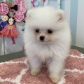 こんにちは♪