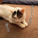 親の手から離れていくこと。と、黄色の波打ちしずく作りました。