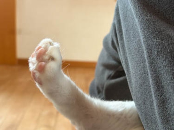 うれしすぎる
