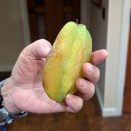 ハワイのフルーツ、12月は何がおいしいかな