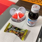 沖縄真樹道場日誌