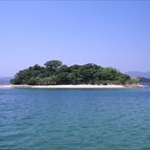 文系「無人島に流れ着いてしまった どうすれば…」 理系ワイ「あの、ちょっといいかな」 	