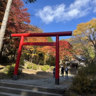 独身みーこのアロハ生活