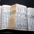 和本江戸嘉永2年（1849）百科事典「大日本永代節用無尽蔵」2冊揃い/河辺桑揚ほか/古書古文書/木版摺り/古地図/武鑑/礼法