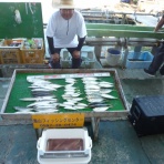 海山フィッシングセンター