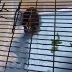 ぁゃιぃ(*ﾟーﾟ)NEWS 2nd