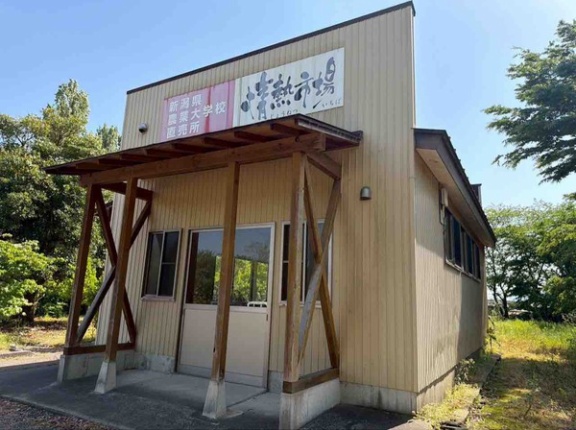 期間限定開設！西蒲区巻甲にある『新潟県農業大学校』で農産物直売所『情熱市場』開催！5月21日～10月15日の木曜。