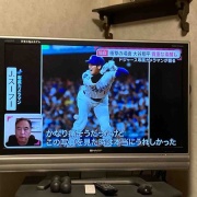 ͭƯ���ʤ����������ˤ������ȸ��ä�����ë��ʿ