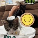 幸せ便り🍀とお知らせ🍀