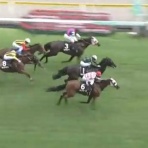 さておき競馬まとめ
