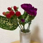 ひろこのひとりごと