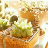 『検査結果は…』の画像