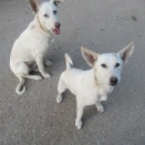 土曜日の朝のお散歩