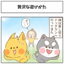 贅沢な遊びかた