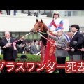 【訃報】【競馬】グラスワンダー死亡　有馬記念連覇などGⅠ 4勝　30歳