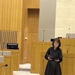 ブログあれこれ