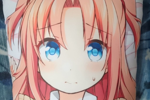 今日もひそかに抱き枕erの国へ