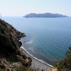 やまやま再発見