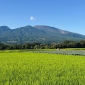 今日の浅間山
